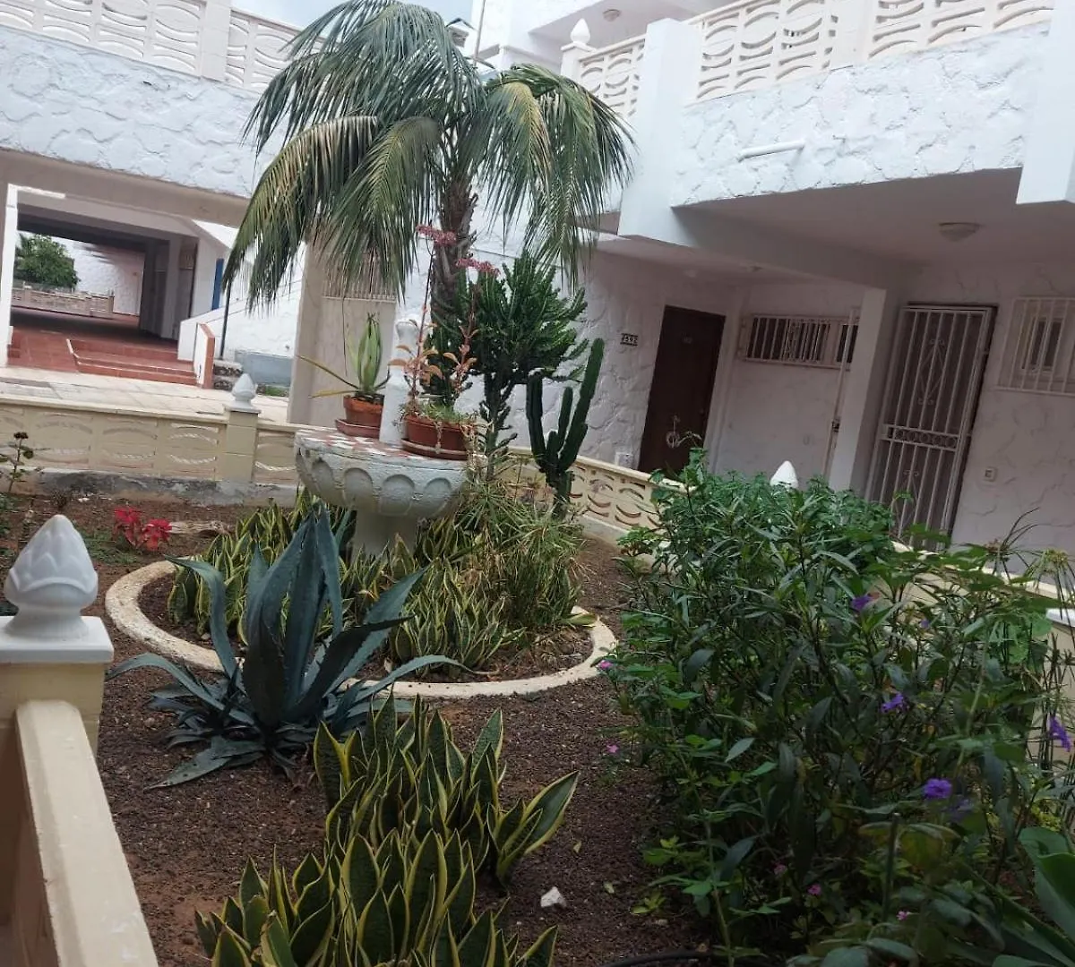 Апартаменты Casa Papagayo Арона 0*,  Испания