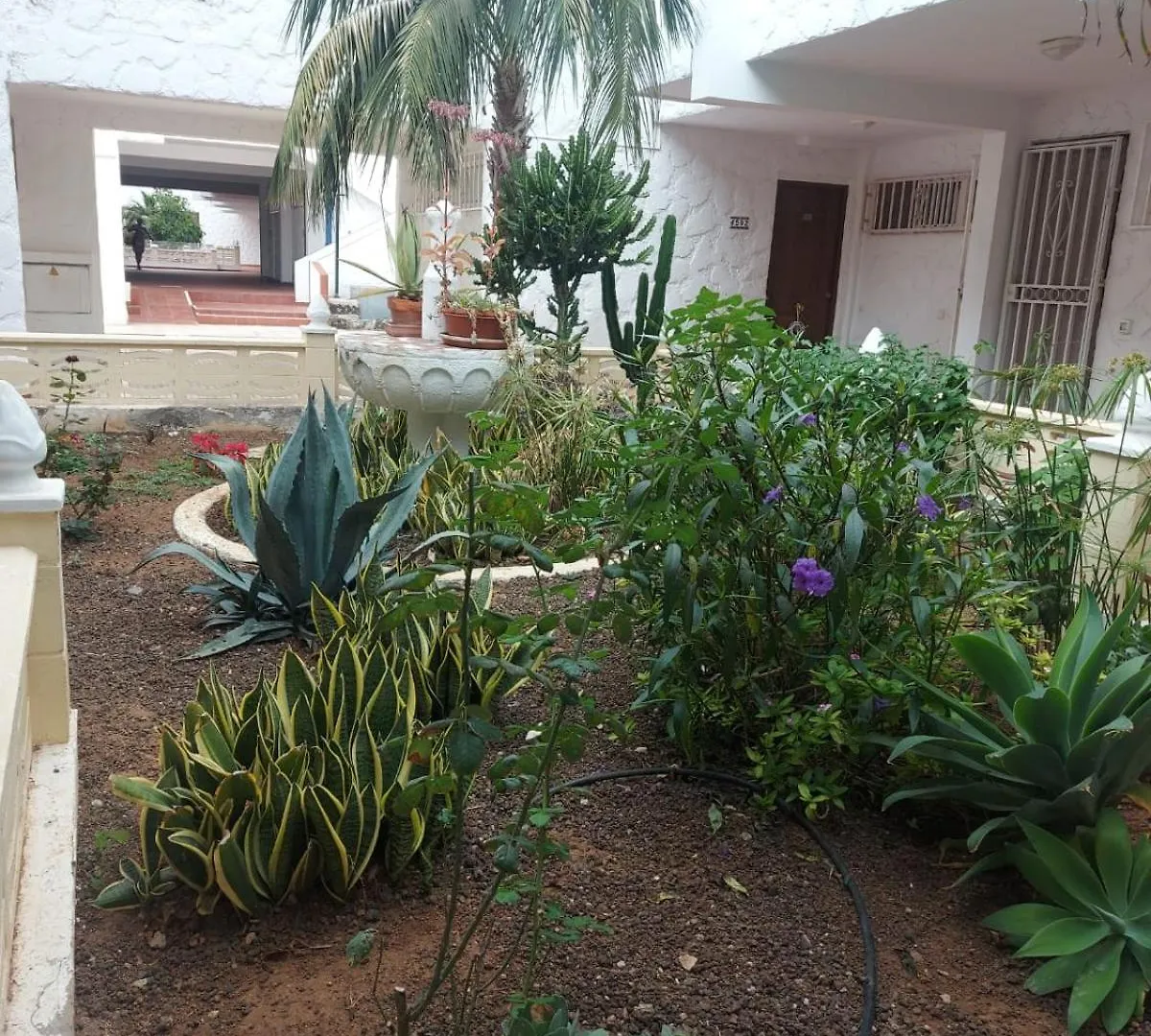 Апартаменты Casa Papagayo Арона