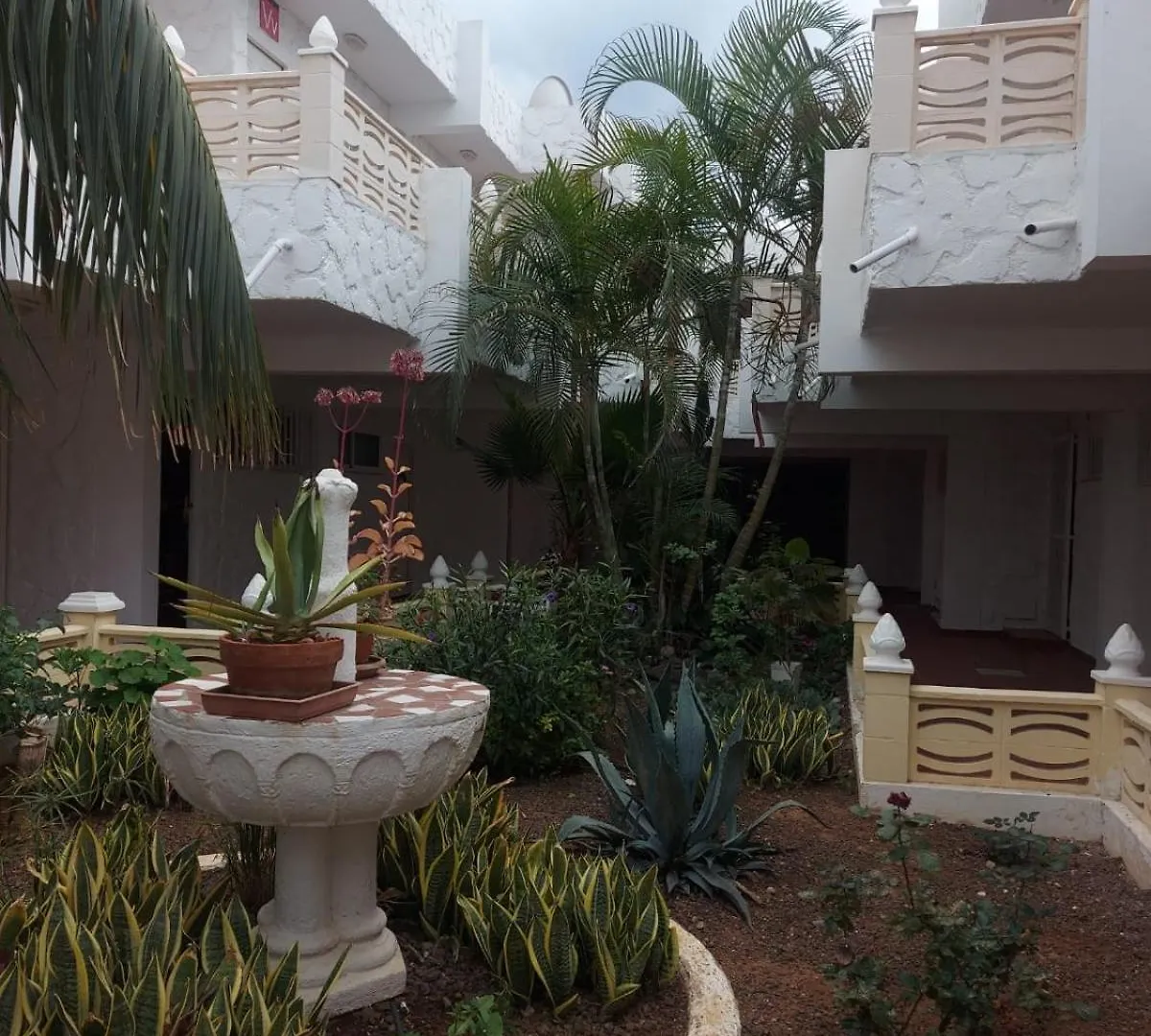 Апартаменты Casa Papagayo Арона