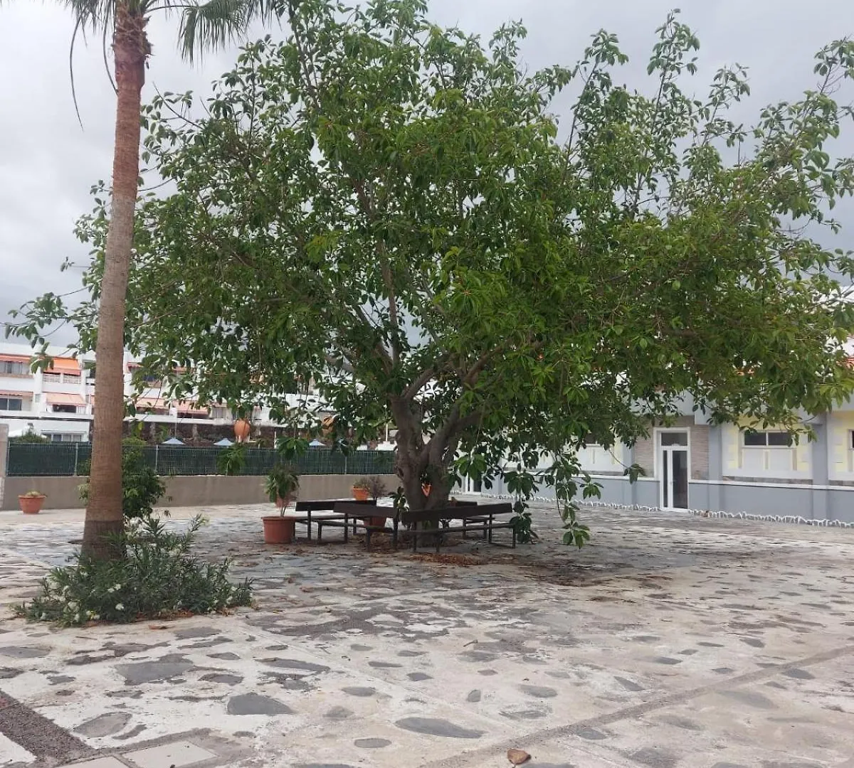 Апартаменты Casa Papagayo Арона 0*,